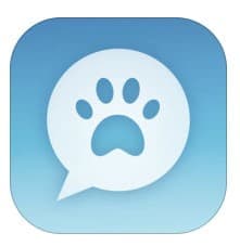 インスタで話題の犬や猫の動物が喋るアプリ おしゃべりペット が大人気 Snsデイズ